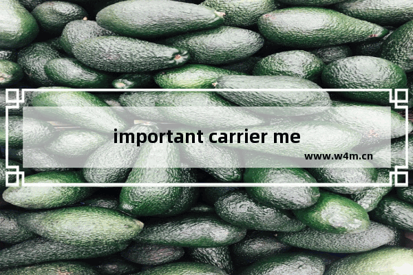 important carrier message怎么消除 important carrier message消除方法