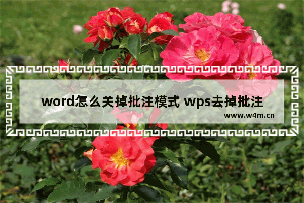 word怎么关掉批注模式 wps去掉批注模式的方法