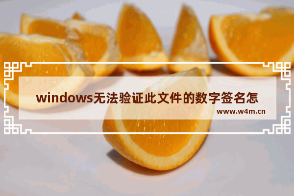 windows无法验证此文件的数字签名怎么办 Windows无法验证此文件的数字签名解决方法