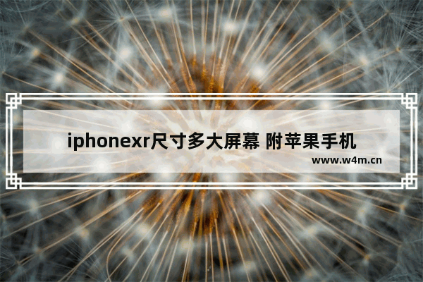 iphonexr尺寸多大屏幕 附苹果手机尺寸一览表