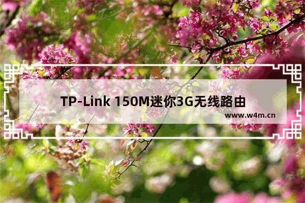 TP-Link 150M迷你3G无线路由器设置上网