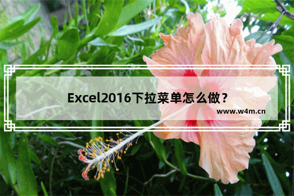 Excel2016下拉菜单怎么做？