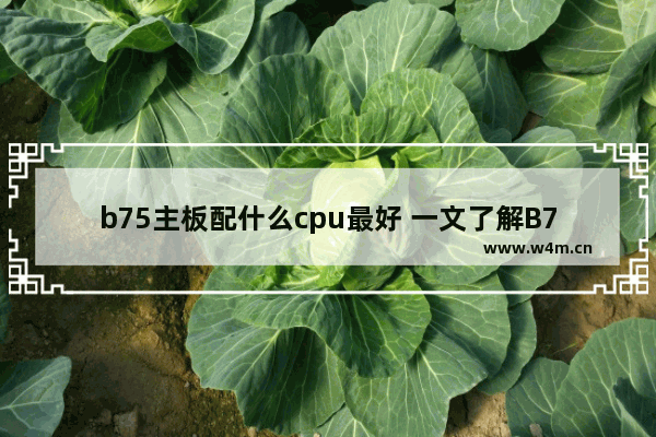 b75主板配什么cpu最好 一文了解B75主板最高可配什么CPU