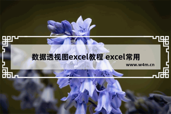 数据透视图excel教程 excel常用技巧大全