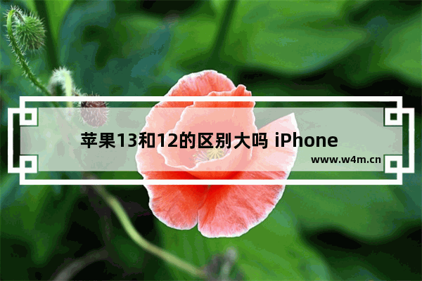 苹果13和12的区别大吗 iPhone 13和iPhone 12的区别对比