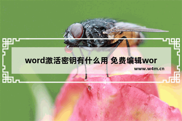 word激活密钥有什么用 免费编辑word文档的软件推荐