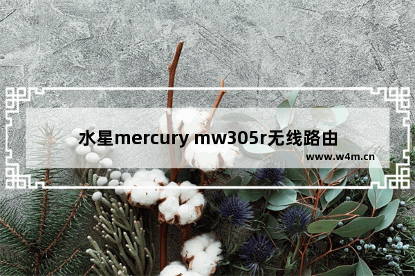 水星mercury mw305r无线路由器怎么样? 水星mw305r开箱测评