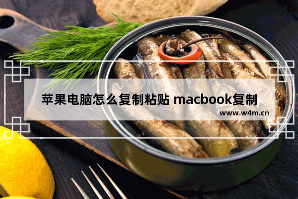 苹果电脑怎么复制粘贴 macbook复制粘贴教程