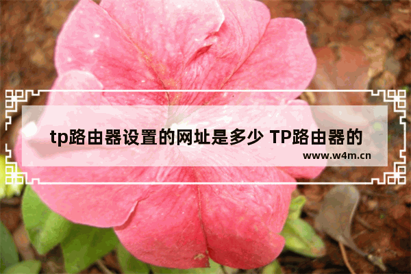 tp路由器设置的网址是多少 TP路由器的设置步骤