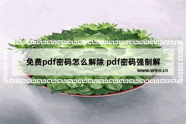 免费pdf密码怎么解除 pdf密码强制解除的方式