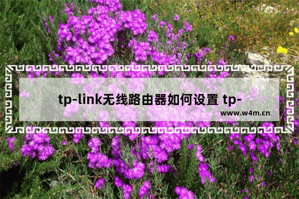 tp-link无线路由器如何设置 tp-link无线路由器设置密码的方法