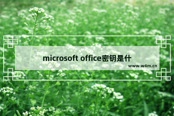 microsoft office密钥是什么意思 Windows激活密钥详解