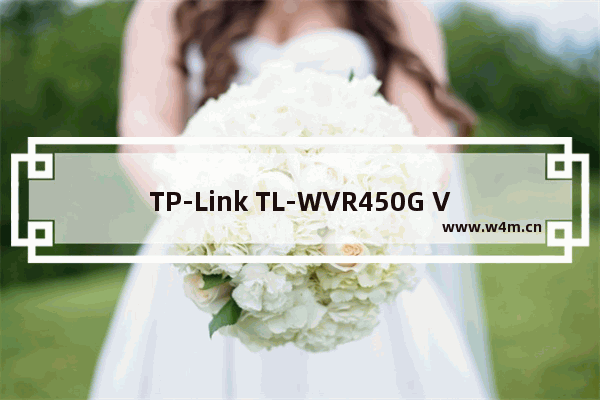 TP-Link TL-WVR450G V3 无线路由器虚拟服务器设置方法