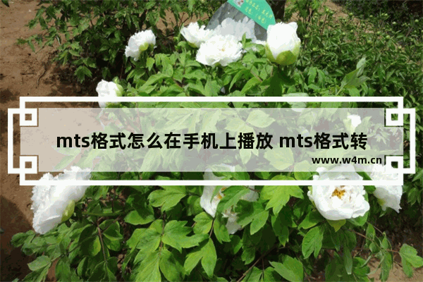 mts格式怎么在手机上播放 mts格式转成mp4教程