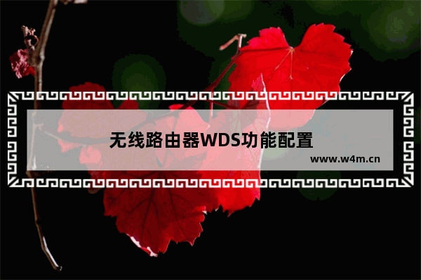 无线路由器WDS功能配置