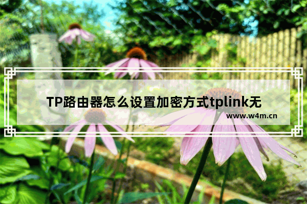 TP路由器怎么设置加密方式tplink无线路由器怎么加密