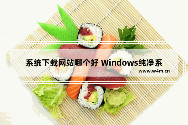 系统下载网站哪个好 Windows纯净系统的4个网站