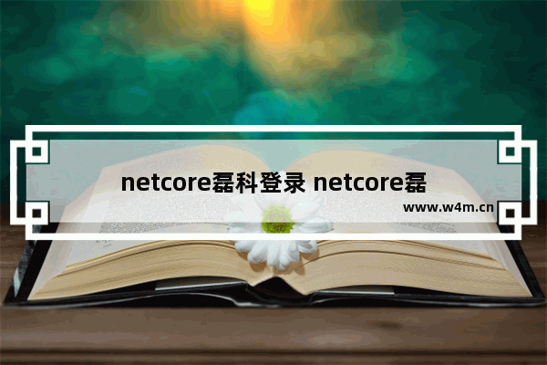 netcore磊科登录 netcore磊科小迷你无线路由器怎么设置