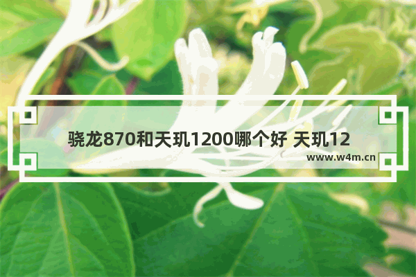 骁龙870和天玑1200哪个好 天玑1200和骁龙870的区别对比