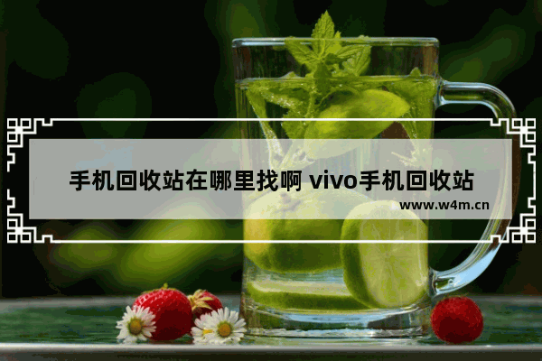 手机回收站在哪里找啊 vivo手机回收站在哪里找啊