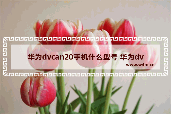 华为dvcan20手机什么型号 华为dvcan20新机大约多少钱