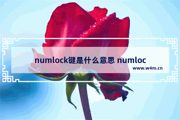 numlock键是什么意思 numlock键按了没反应