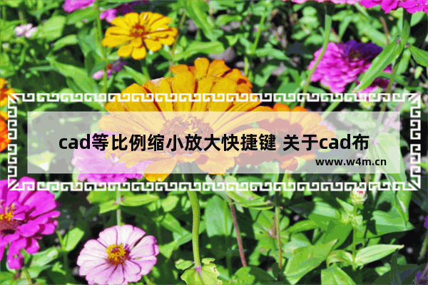 cad等比例缩小放大快捷键 关于cad布局作图教程