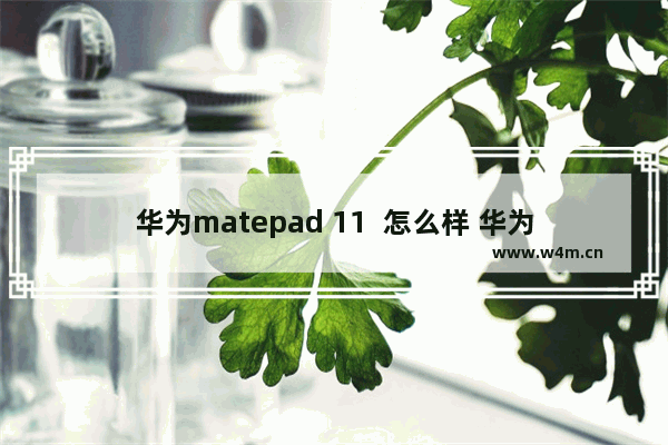 华为matepad 11  怎么样 华为MatePad 11 评测