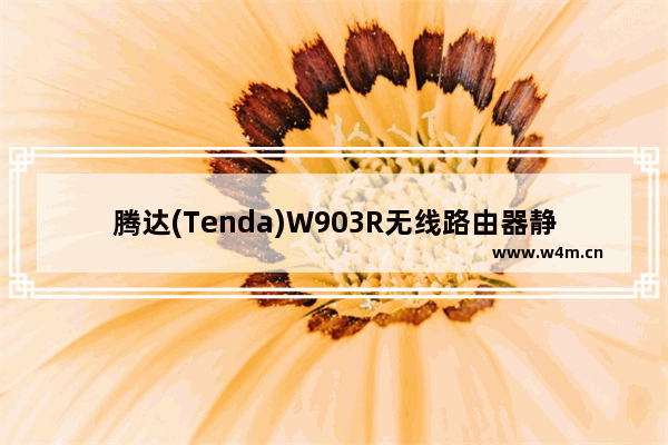 腾达(Tenda)W903R无线路由器静态IP上网设置方法