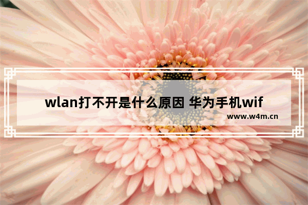 wlan打不开是什么原因 华为手机wifi打不开解决方法