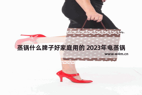 蒸锅什么牌子好家庭用的 2023年电蒸锅品牌排行榜