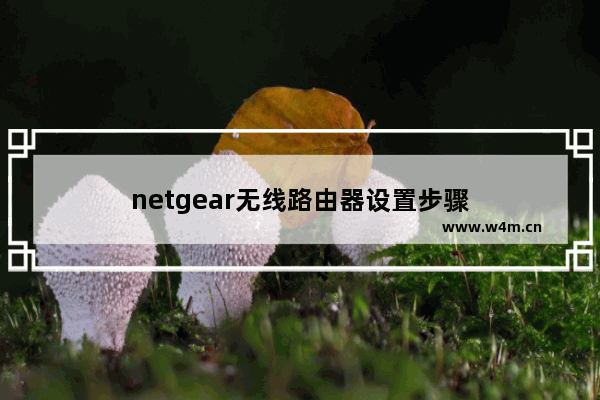 netgear无线路由器设置步骤