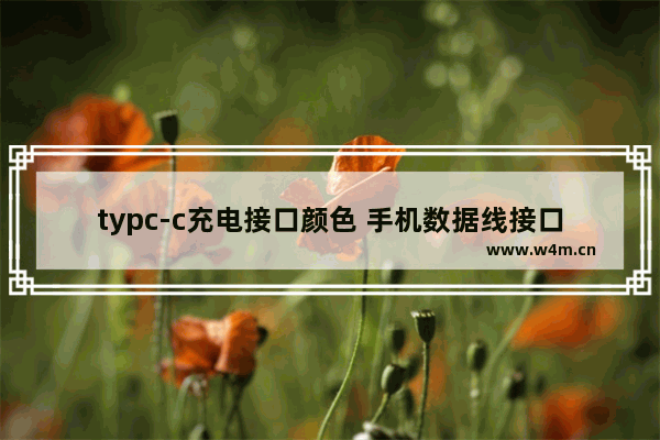 typc-c充电接口颜色 手机数据线接口类型