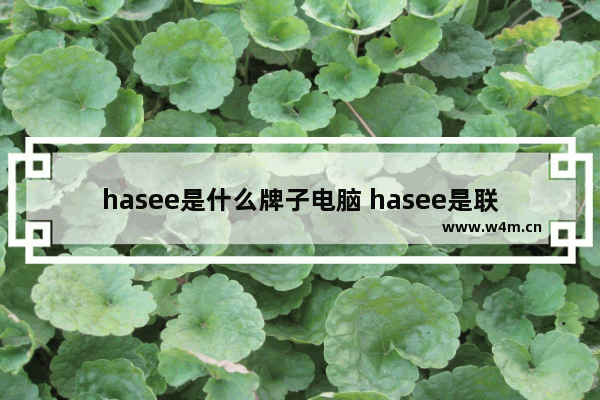 hasee是什么牌子电脑 hasee是联想的吗