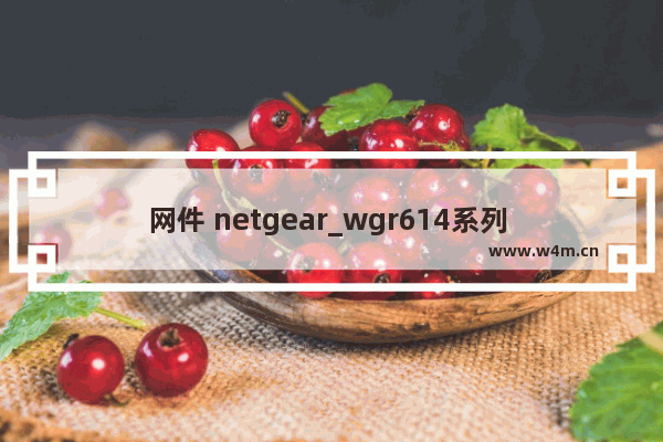 网件 netgear_wgr614系列 无线路由器设置方法[图文详解]