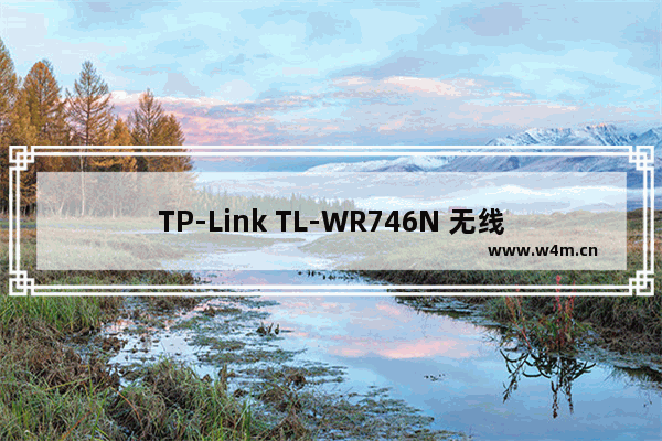 TP-Link TL-WR746N 无线路由器上网控制管控网络权限