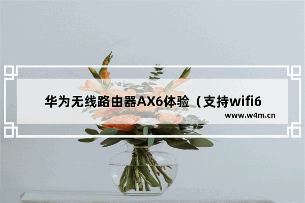 华为无线路由器AX6体验（支持wifi6+）