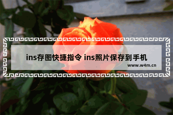 ins存图快捷指令 ins照片保存到手机的窍门