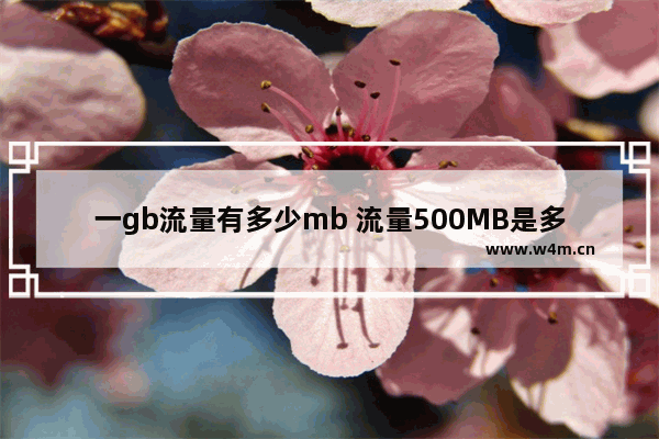 一gb流量有多少mb 流量500MB是多少GB