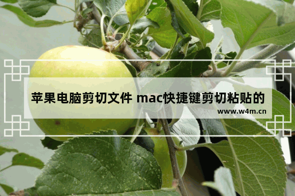 苹果电脑剪切文件 mac快捷键剪切粘贴的方法