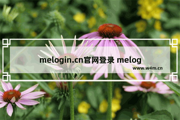 melogin.cn官网登录 melogin.cn无线路由器设置教程