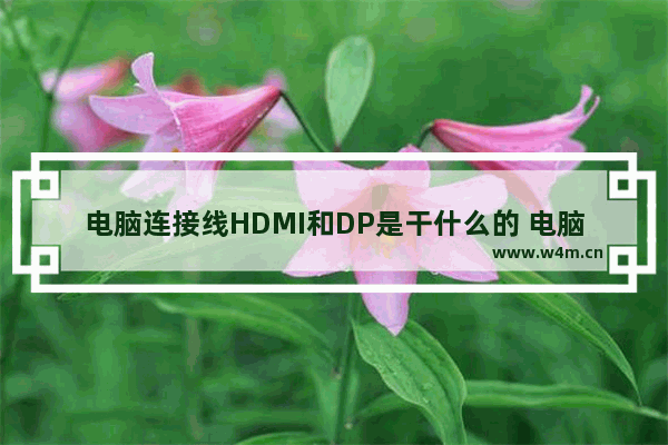 电脑连接线HDMI和DP是干什么的 电脑连接线HDMI和DP的作用