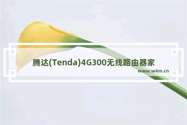 腾达(Tenda)4G300无线路由器家用模式ADSL拨号上网设置教程