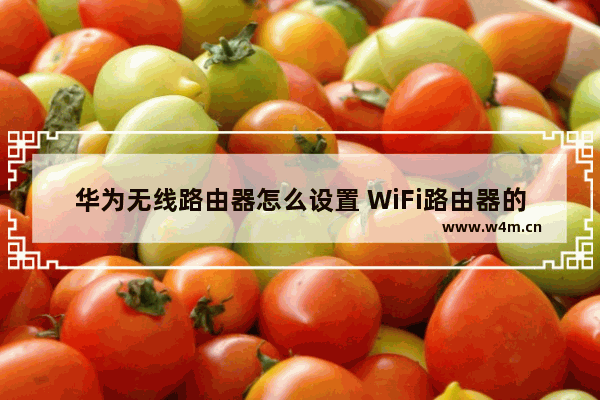 华为无线路由器怎么设置 WiFi路由器的设置方法