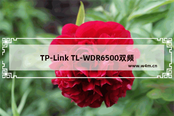 TP-Link TL-WDR6500双频无线路由器的安装步骤网址