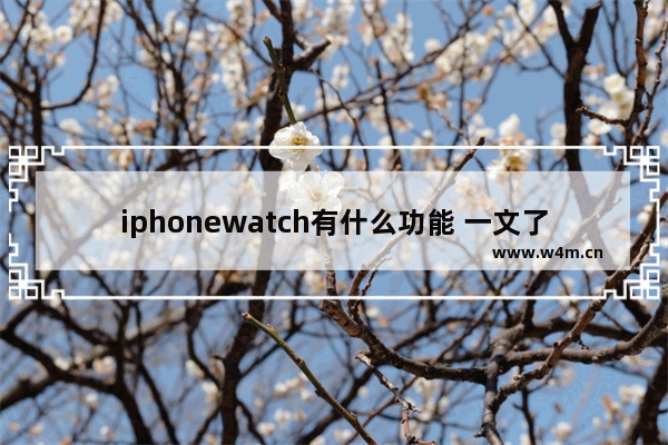 iphonewatch有什么功能 一文了解苹果手表的功能