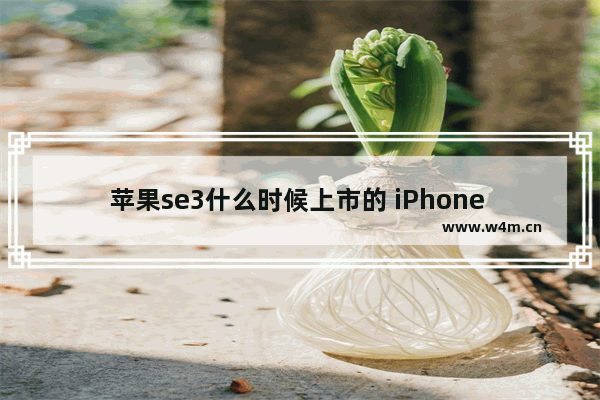 苹果se3什么时候上市的 iPhone SE 3正式开售时间