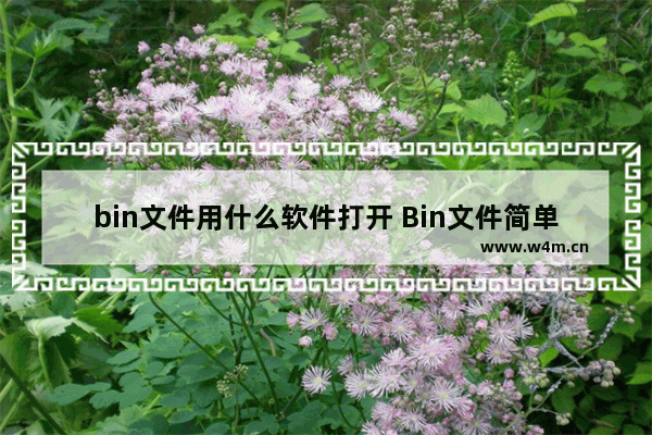 bin文件用什么软件打开 Bin文件简单的打开方法