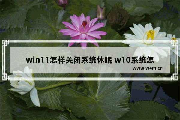 win11怎样关闭系统休眠 w10系统怎么关闭休眠模式