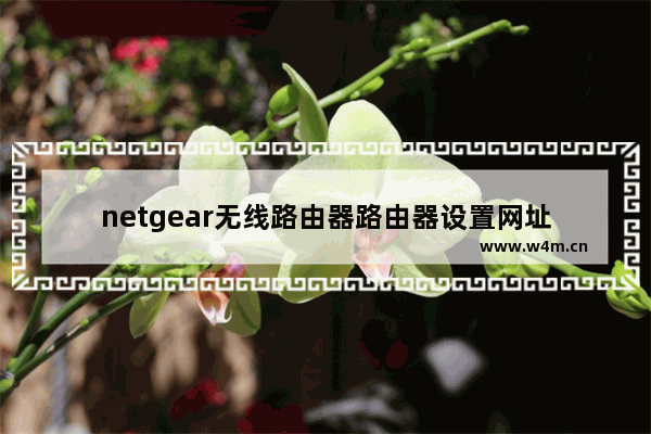 netgear无线路由器路由器设置网址